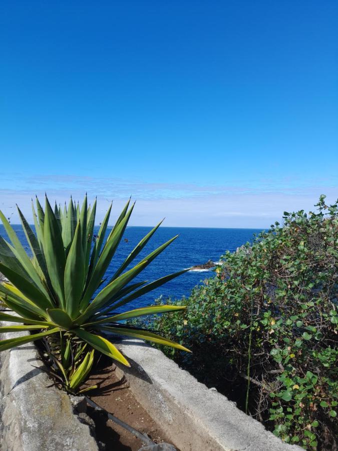 Monis Rooms,Apartment Holidays Green Tenerife Playa San Marcos Icod De Los Vinos Exteriér fotografie